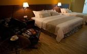 Туры в отель Pinetree Hotel