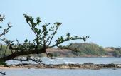 Туры в отель Plub Pla Koh Mak Retreat