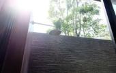 Туры в отель Plub Pla Koh Mak Retreat