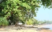 Туры в отель Plub Pla Koh Mak Retreat