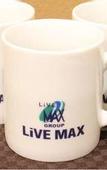 Туры в отель Hotel Live Max Yokohama Motomachi Ekimae