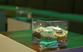 Туры в отель Boutique Hotel Bol