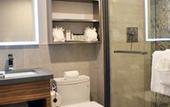 Туры в отель Insignia Hotel Brooklyn, an Ascend Collection Hotel