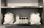 Туры в отель Insignia Hotel Brooklyn, an Ascend Collection Hotel