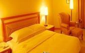 Туры в отель Pantower International Hotel