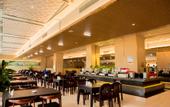 Туры в отель Zhongyuan International Hotel