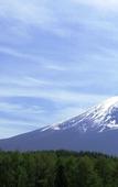 Туры в отель The Gran Resort Princess Fujikawaguchiko