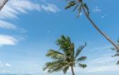 Туры в отель Princess Paradise Koh Phangan
