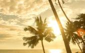 Туры в отель Princess Paradise Koh Phangan