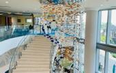 Туры в отель Margaritaville Beach Resort - Nassau