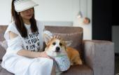 Туры в отель Hyatt Centric Lakeside Ningbo