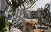 Туры в отель Hyatt Centric Lakeside Ningbo