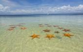 Туры в отель NAYARA Bocas del Toro