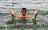 Туры в отель NAYARA Bocas del Toro