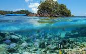 Туры в отель NAYARA Bocas del Toro