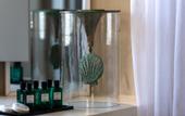 Туры в отель Mythical Coast Wellness Retreat