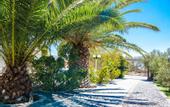 Туры в отель Blue Sapphire Hotel