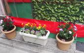 Туры в отель Sakura Hotel Jimbocho - Hostel