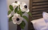 Туры в отель Hotel Leopold - Orso Hotel