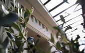 Туры в отель Hotel Leopold - Orso Hotel
