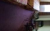 Туры в отель Econo Lodge