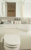 Туры в отель Daiwa Roynet Hotel Naha - Omoromachi