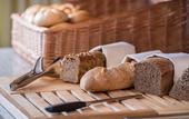 Туры в отель HEINhotel Vienna Airport