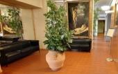Туры в отель Villa Neroli