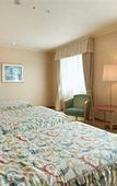 Туры в отель ANA Holiday Inn Kobe Sanda by IHG