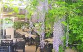Туры в отель Hotel du Moulin a Vent Gerland