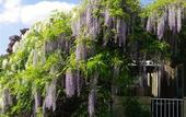 Туры в отель Hotel du Moulin a Vent Gerland
