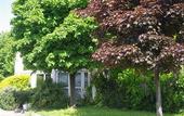 Туры в отель Hotel du Moulin a Vent Gerland