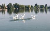 Туры в отель Hotel Barriere Le Grand Hotel