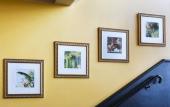 Туры в отель Hotel Barriere Le Grand Hotel