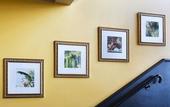 Туры в отель Hotel Barriere Le Grand Hotel