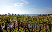 Туры в отель Kimpton Atlantico Algarve by IHG