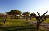 Туры в отель Kimpton Atlantico Algarve by IHG