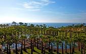 Туры в отель Kimpton Atlantico Algarve by IHG