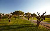 Туры в отель Kimpton Atlantico Algarve by IHG