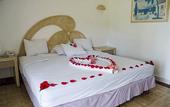 Туры в отель Qualton Club Ixtapa - All Inclusive