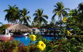 Туры в отель Qualton Club Ixtapa - All Inclusive