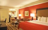 Туры в отель Holiday Inn