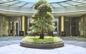 Туры в отель The Azure Qiantang, a Luxury Collection Hotel, Hangzhou