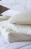 Туры в отель ANA Crowne Plaza Kanazawa by IHG