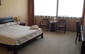 Туры в отель Mercure Sofia City