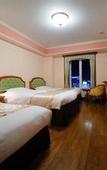 Туры в отель Hotel Monterey Sendai