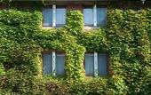 Туры в отель Kurashiki Ivy Square