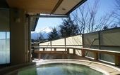 Туры в отель Lakeland Hotel Mizunosato