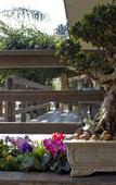 Туры в отель Sunrock Guesthouse