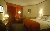 Туры в отель Holiday Inn